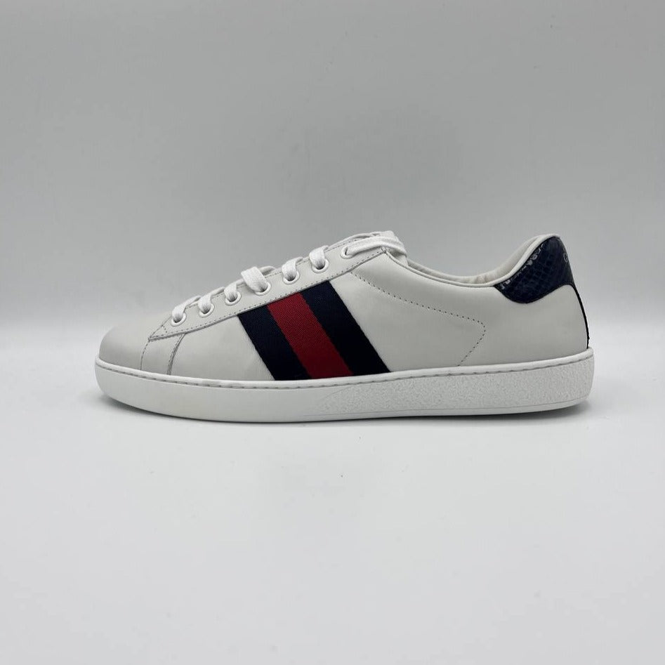 Sneakers Ace Gucci